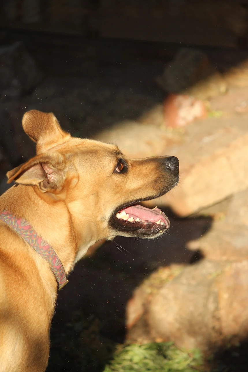 Review image 1 from Ella